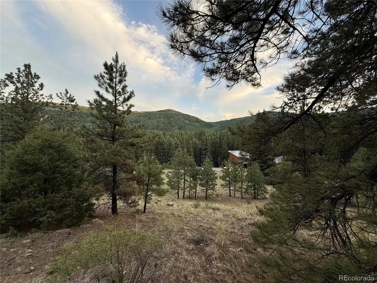 2 Beaver Trail, Antonito, CO 81120 - #1