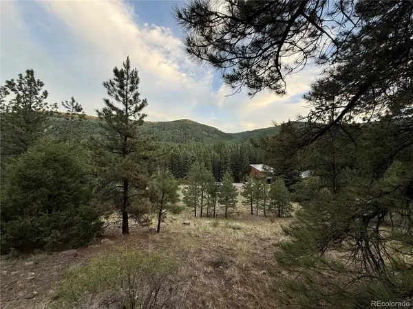 2 Beaver Trail, Antonito, CO 81120