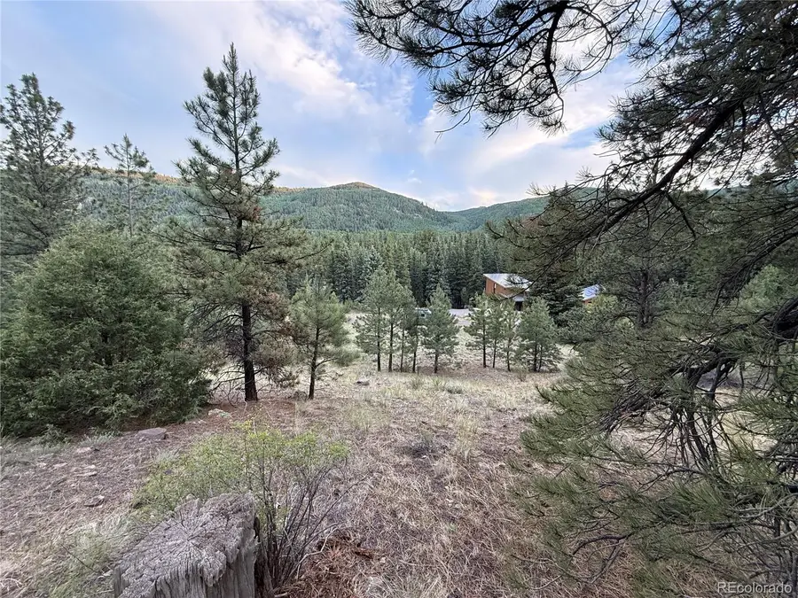 2 Beaver Trail, Antonito, CO 81120 - #2