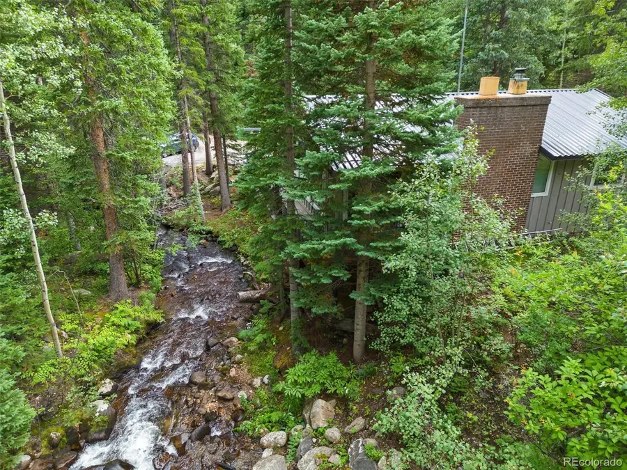 14 Moss, Dumont, CO 80436 - #3