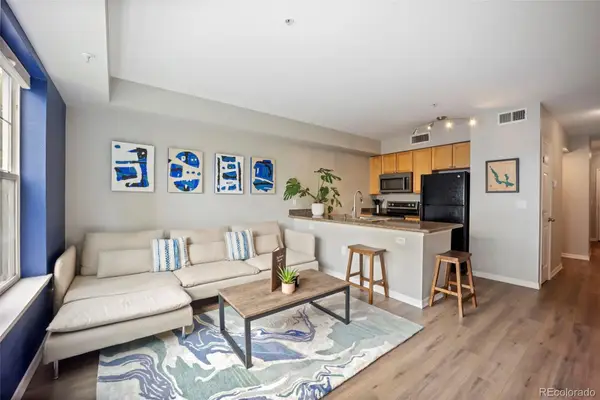 1623 Saint Paul Street #203, Denver, CO 80206