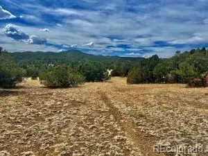 29870 County Rd 16, Trinidad, CO 81082 - #1