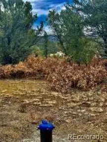 29870 County Rd 16, Trinidad, CO 81082 - #3