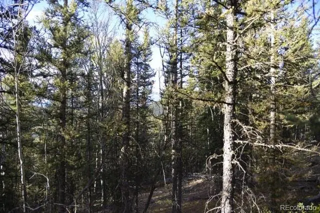 00 Heckman Road, Fort Garland, CO 81133 - Image #3