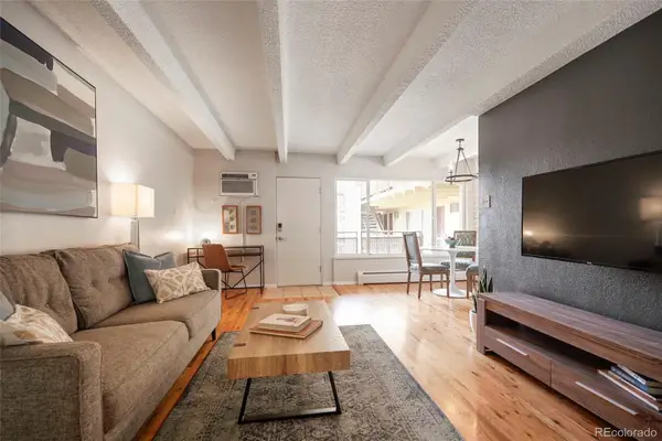 250 N Pearl #206, Denver, CO 80203