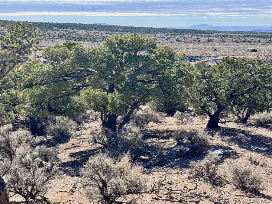 lot 1762 Slegers Road, Fort Garland, CO 81133 - #2
