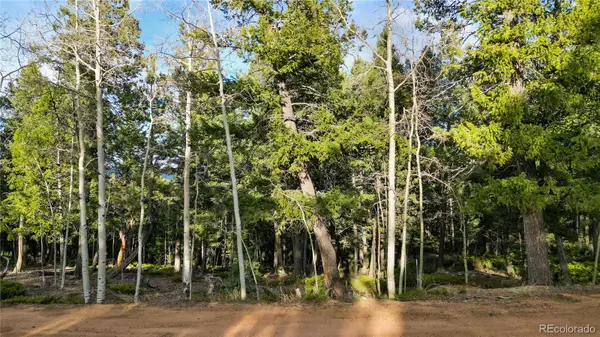 68 Yale Place, Woodland Park, CO 80863