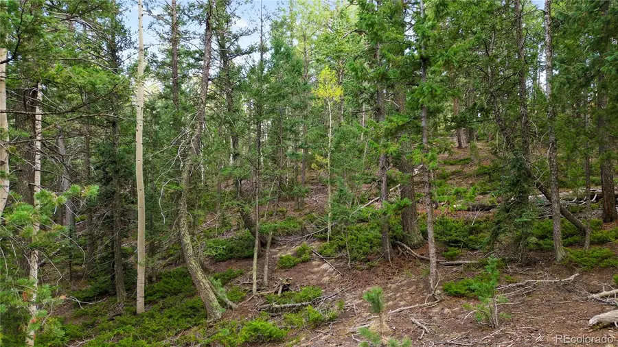 68 Yale Place, Woodland Park, CO 80863 - #3