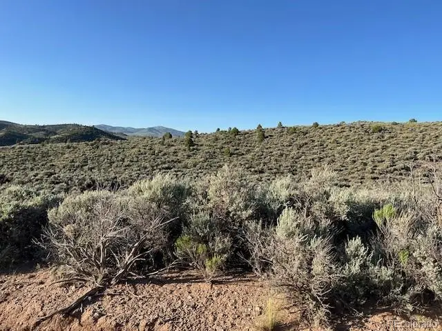 Lot 4763 Spencer Road, Fort Garland, CO 81133 - Image #2