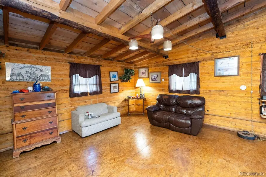 4650 Usfs Rd 516, Creede, CO 81130 - #2