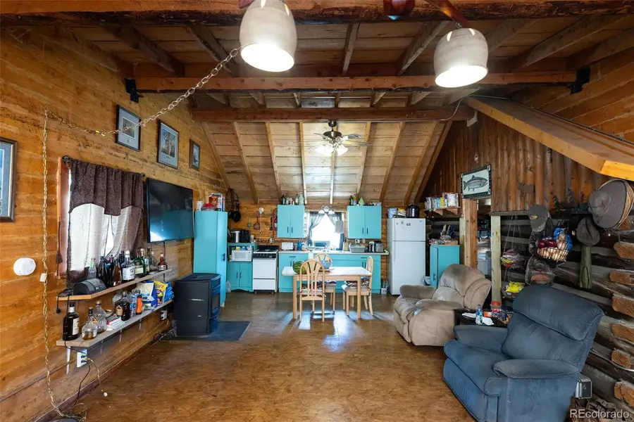 4650 Usfs Rd 516, Creede, CO 81130 - #3