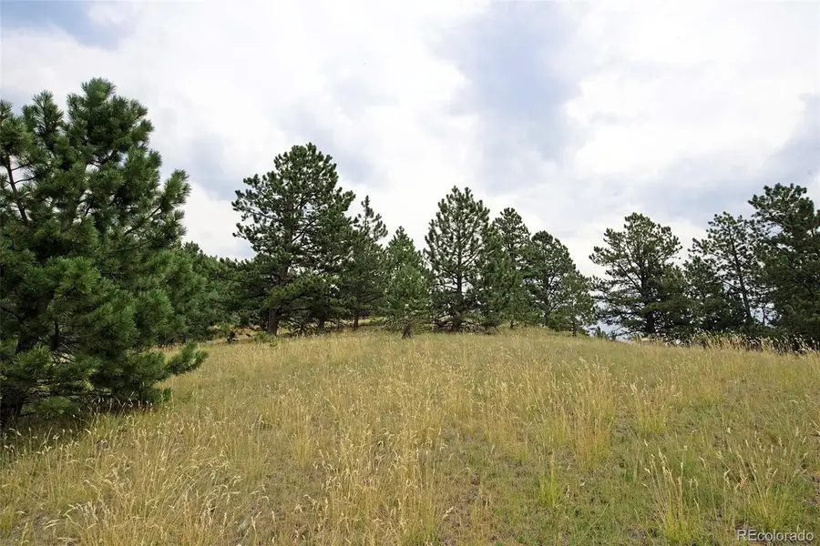 726 Copper Mountain Drive, Cripple Creek, CO 80813 - Image #3