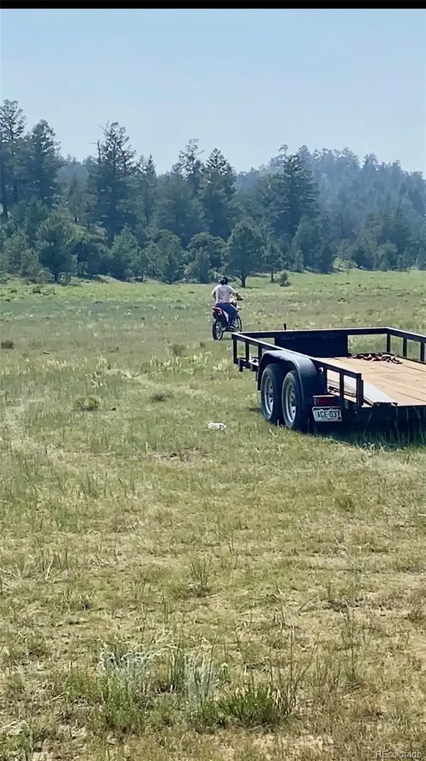 127 Sedgewich Drive, Hartsel, CO 80449