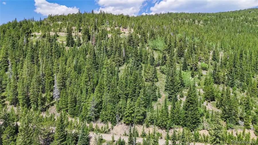 508 Hilltop Road, Idaho Springs, CO 80452 - #3
