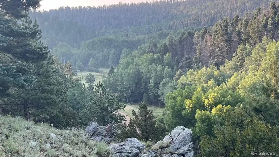 1716 County Road 327, Westcliffe, CO 81252 - #3