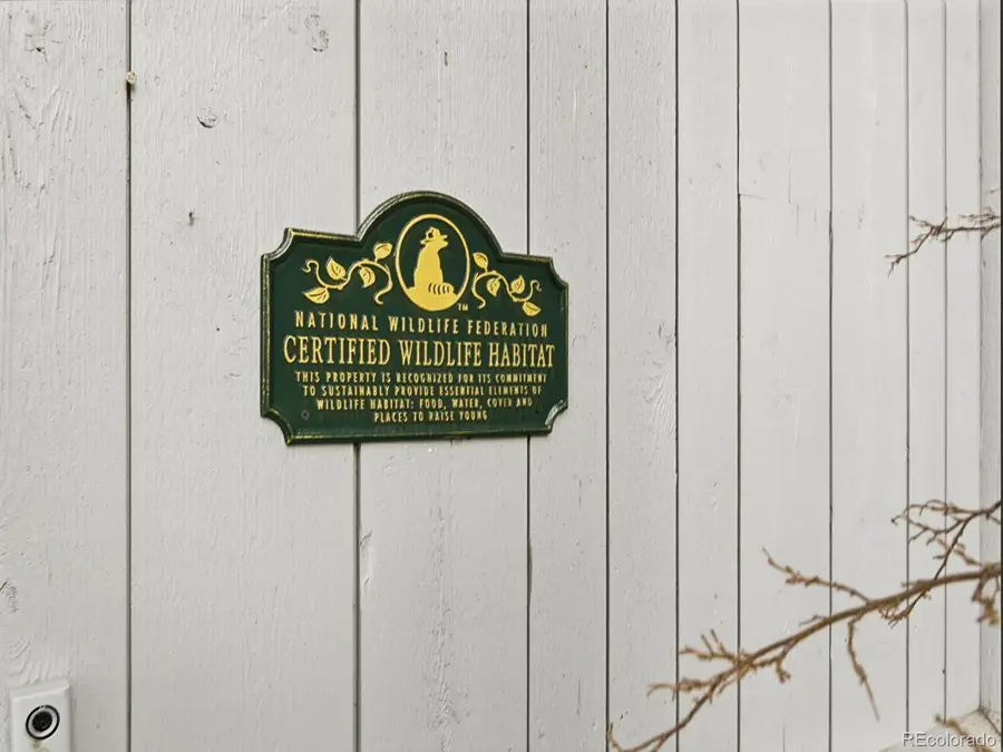 13892 Douglas Ranch Drive, Pine, CO 80470 - #3