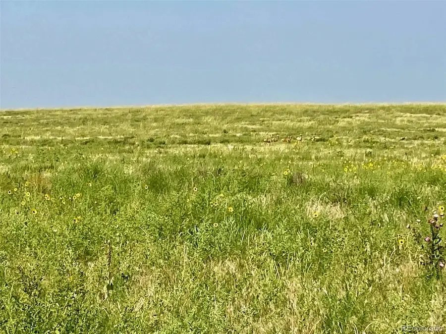 County Road Hh, Burlington, CO 80861 - Image #3