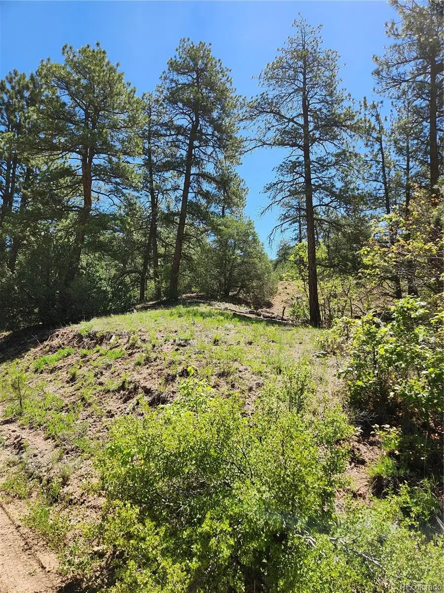 102 Kevin Drive, Cotopaxi, CO 81223 - #2