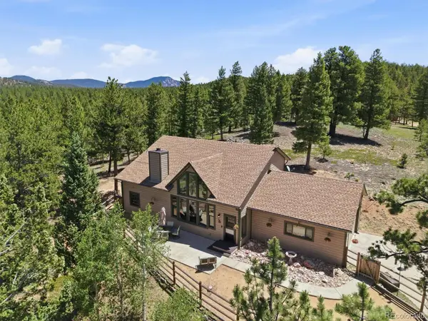 224 Hangman Road, Bailey, CO 80421