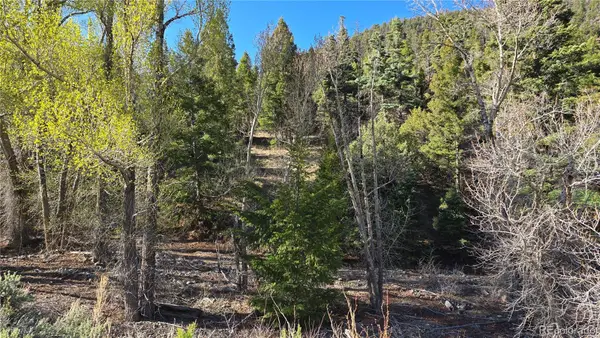Lot 5475 Joy Road, Fort Garland, CO 81133