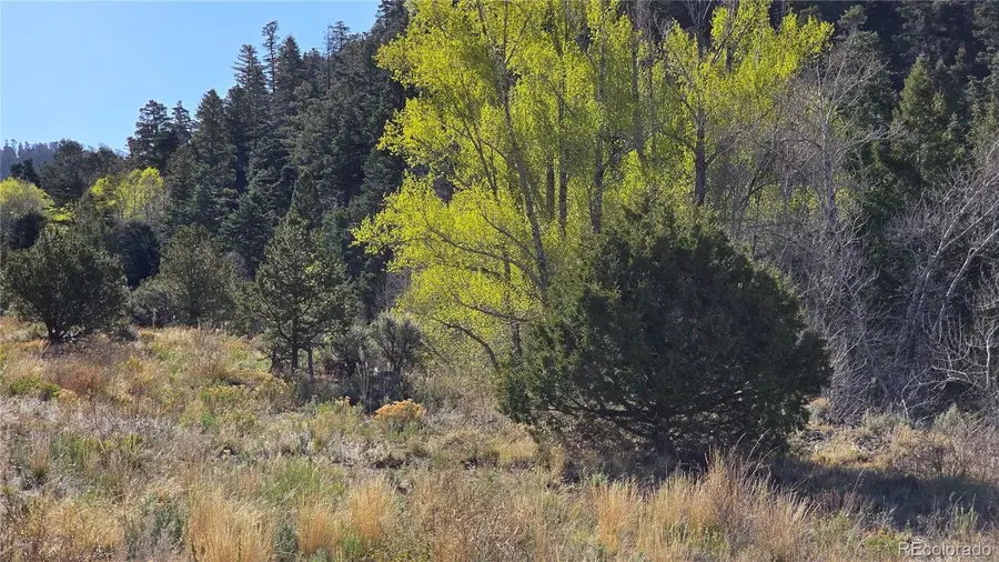 Lot 5475 Joy Road, Fort Garland, CO 81133 - #2