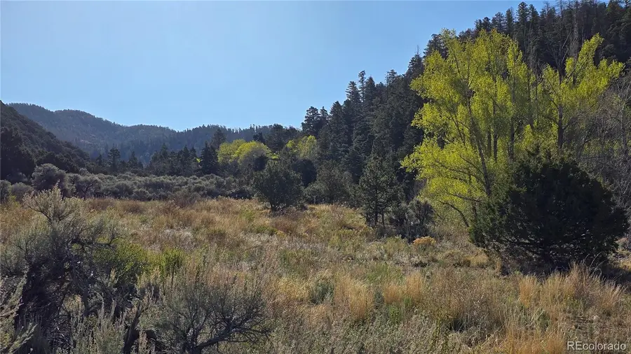 Lot 5475 Joy Road, Fort Garland, CO 81133 - #3