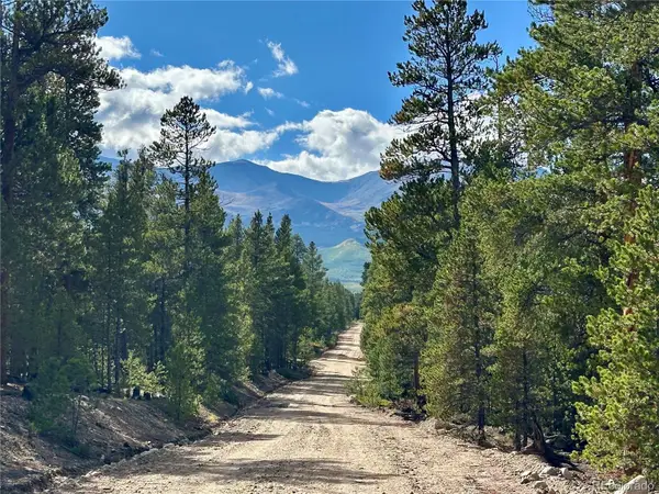 143 Fir Drive, Leadville, CO 80461