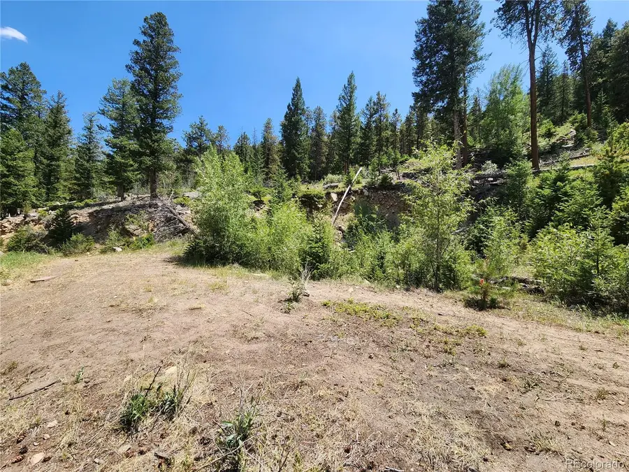 256 Capital Road, Dumont, CO 80436 - #2