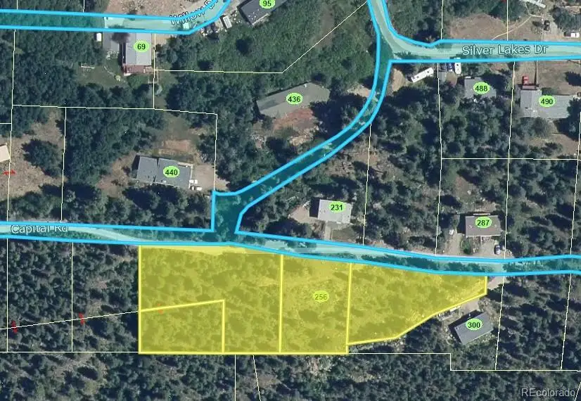 256 Capital Road, Dumont, CO 80436 - #3