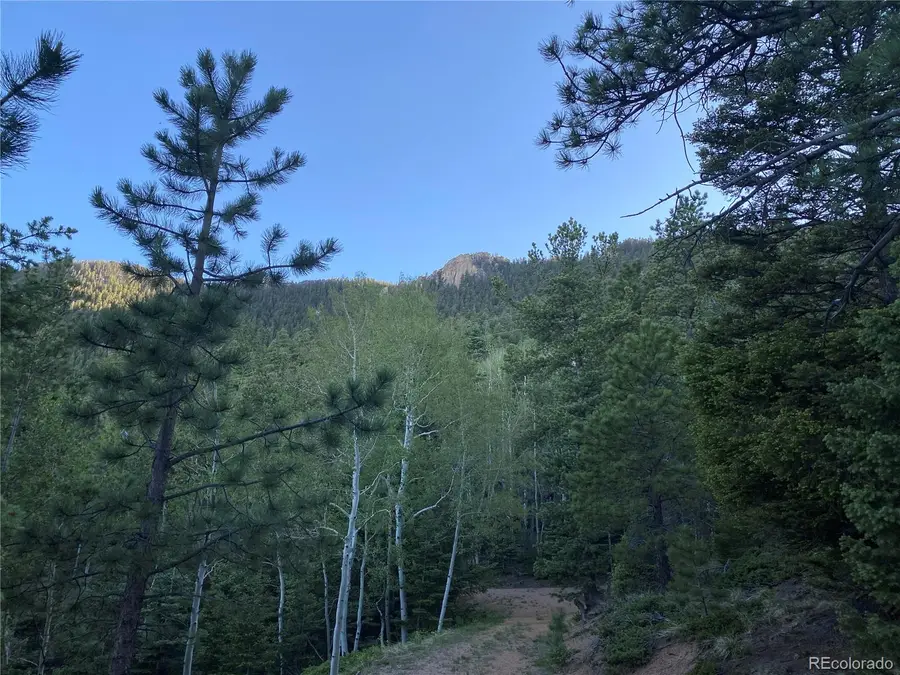 285 Forest Road, Manitou Springs, CO 80829 - #2