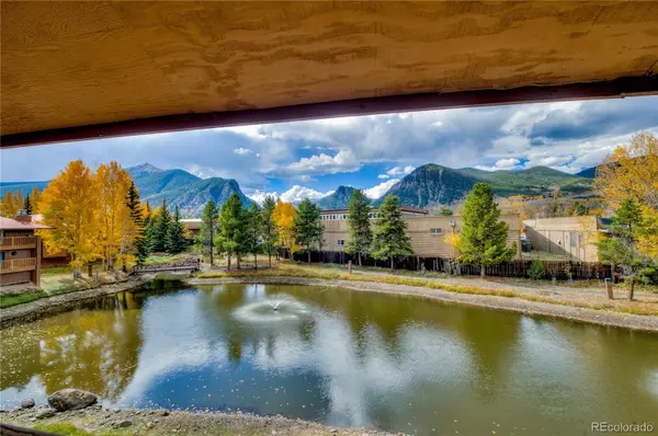 742 Lagoon #E, Frisco, CO 80443