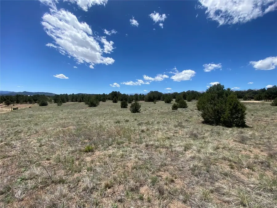 1638 20th Trail, Cotopaxi, CO 81223 - #3