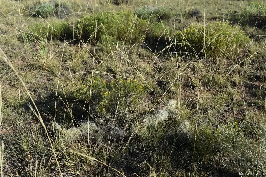 000 Lizard Lane, Gardner, CO 81040 - Image #3