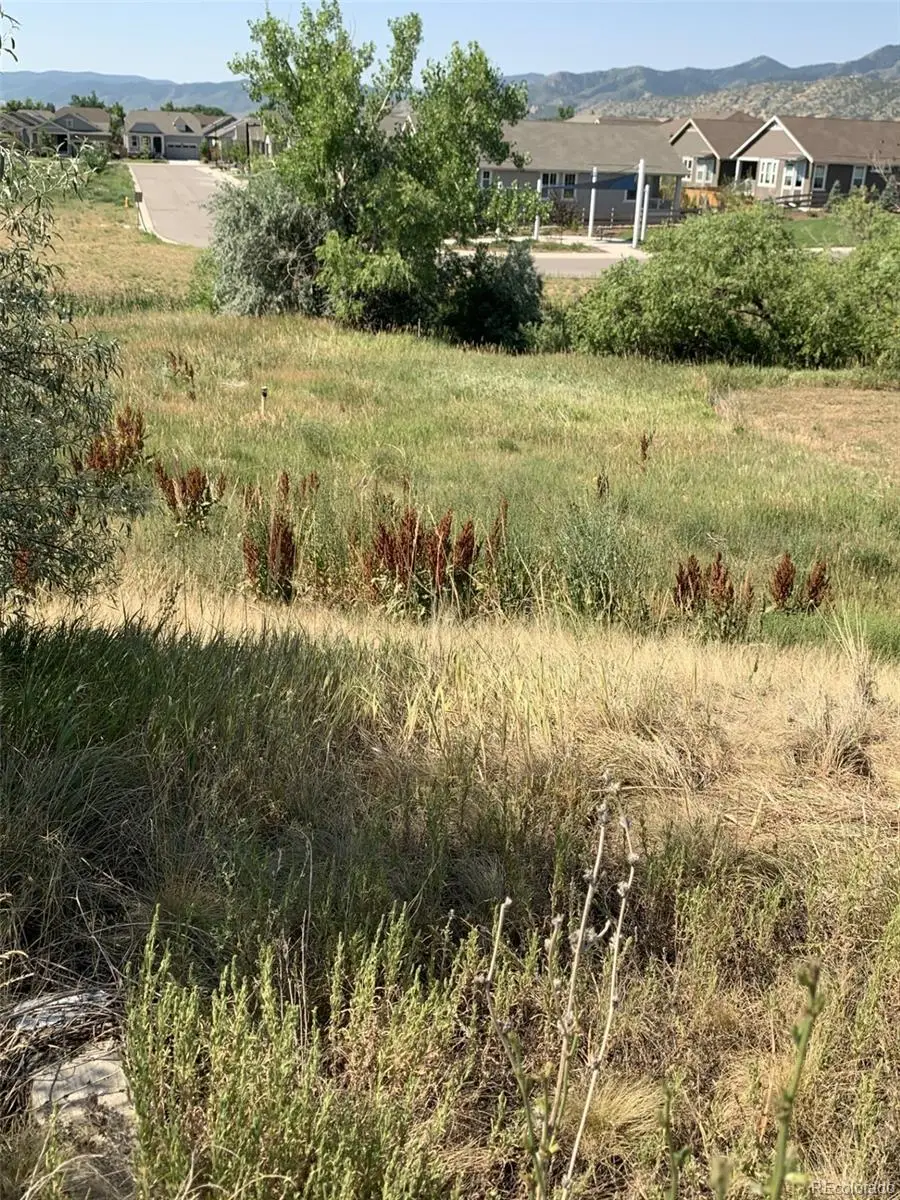 8328 S Carr Way, Littleton, CO 80128 - #2