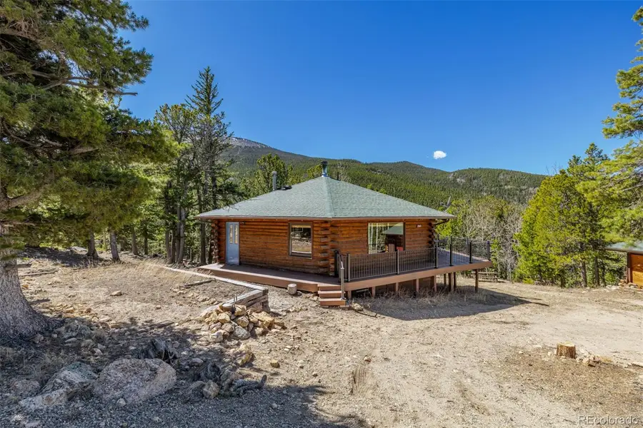 260 Pine Drive, Idaho Springs, CO 80452 - #3