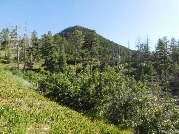 5425 Cheyenne Drive, Larkspur, CO 80118