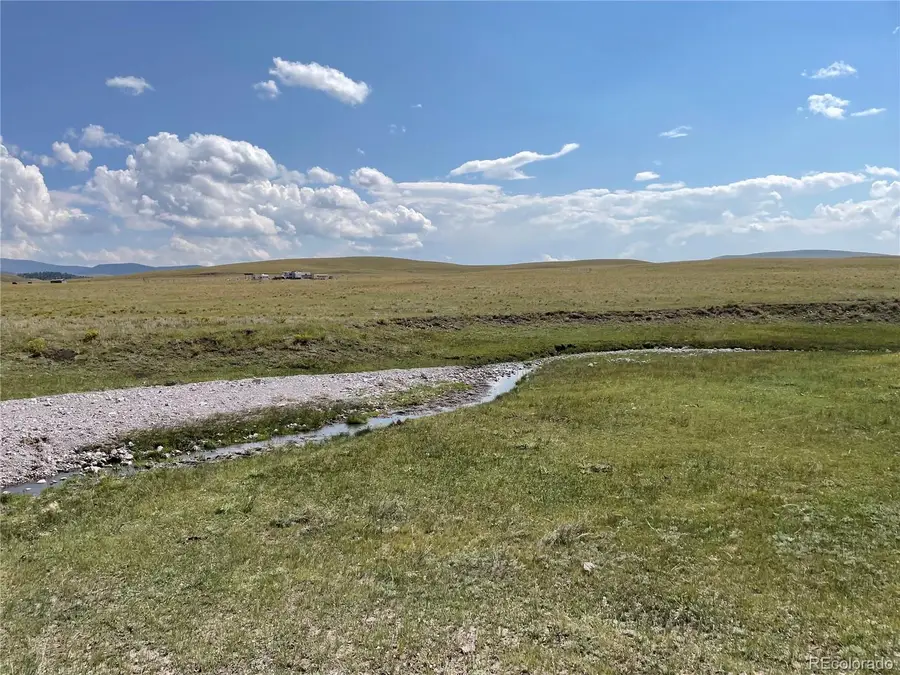 770 Pawnee Trail, Hartsel, CO 80449 - #3