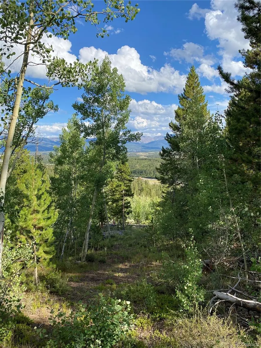 226 County Road 863, Tabernash, CO 80478 - #3
