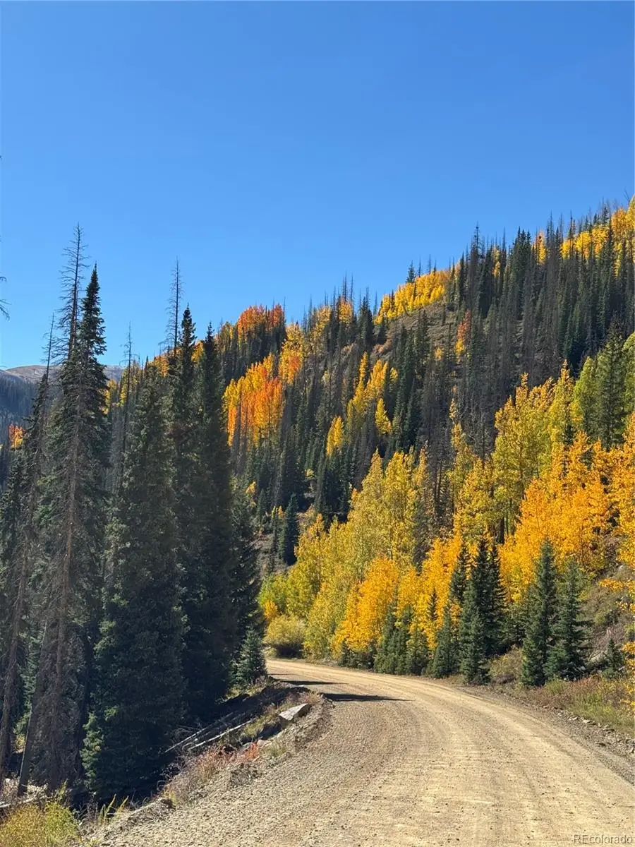 00 Fsr 247, Antonito, CO 81120 - #3