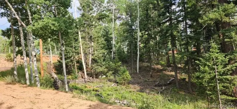 127 Rampart Circle, Florissant, CO 80816 - Image #2