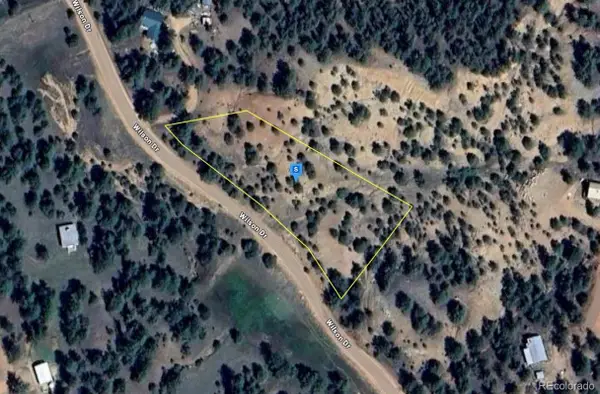 228 Wilson Drive, Florissant, CO 80816