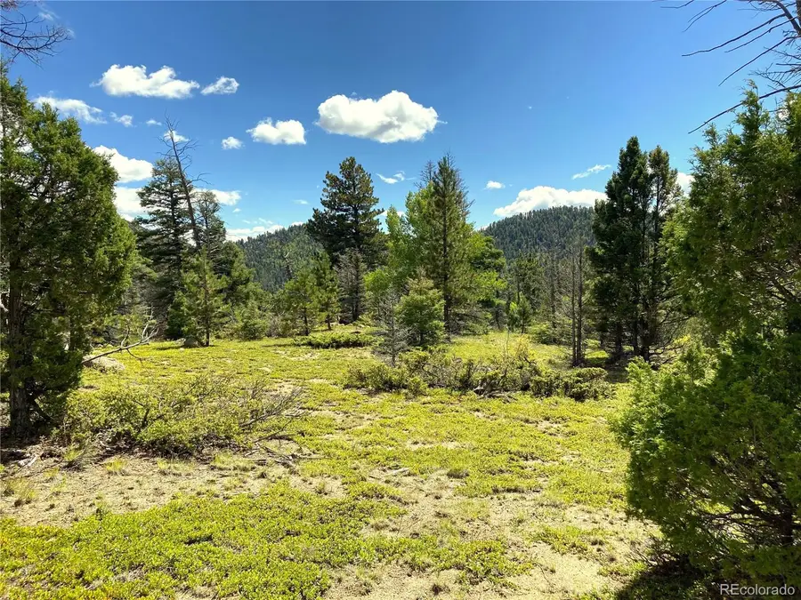 TBD L 27 Copper Mountain Road, Cotopaxi, CO 18223 - Image #2