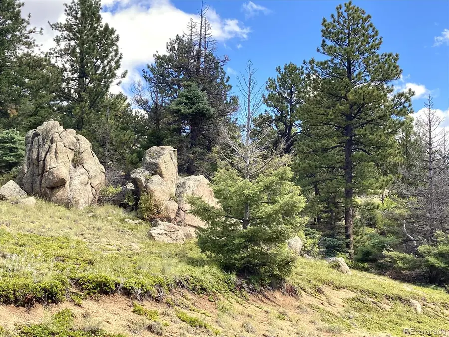 TBD L 27 Copper Mountain Road, Cotopaxi, CO 18223 - Image #3