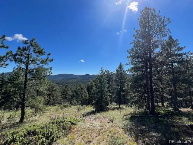 Tbd Barney Gulch Road, Conifer, CO 80433 - Image #2