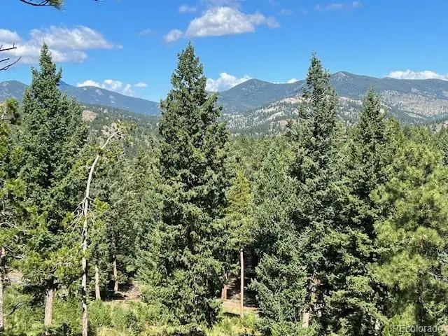 Tbd Barney Gulch Road, Conifer, CO 80433 - Image #3