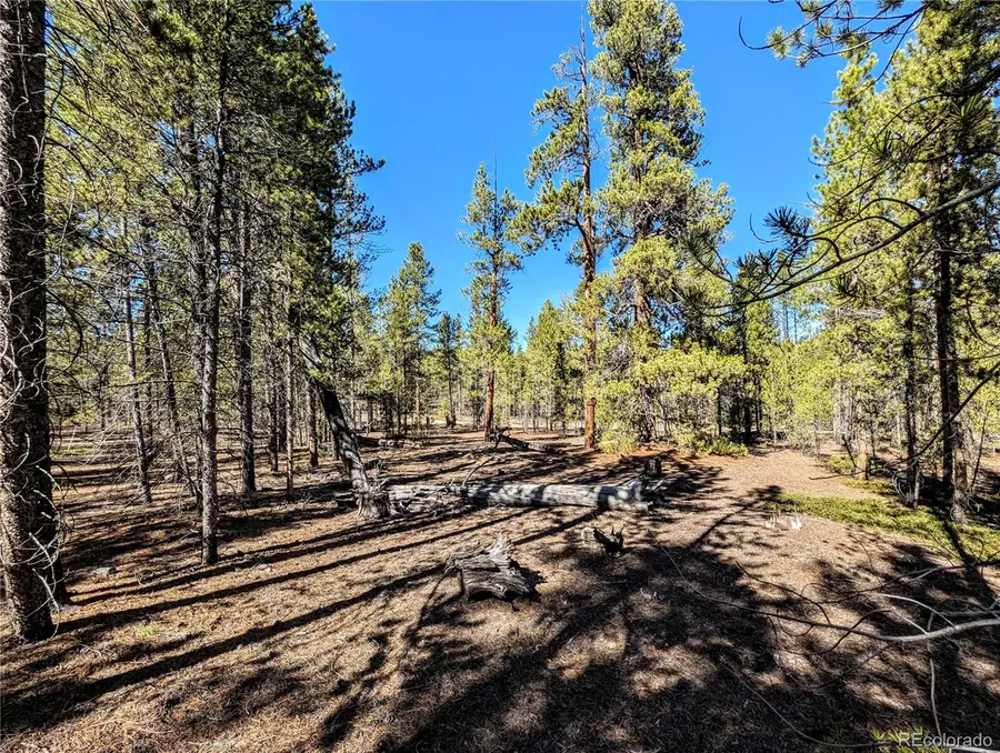 322 Juniper Drive, Twin Lakes, CO 81251 - Image #3