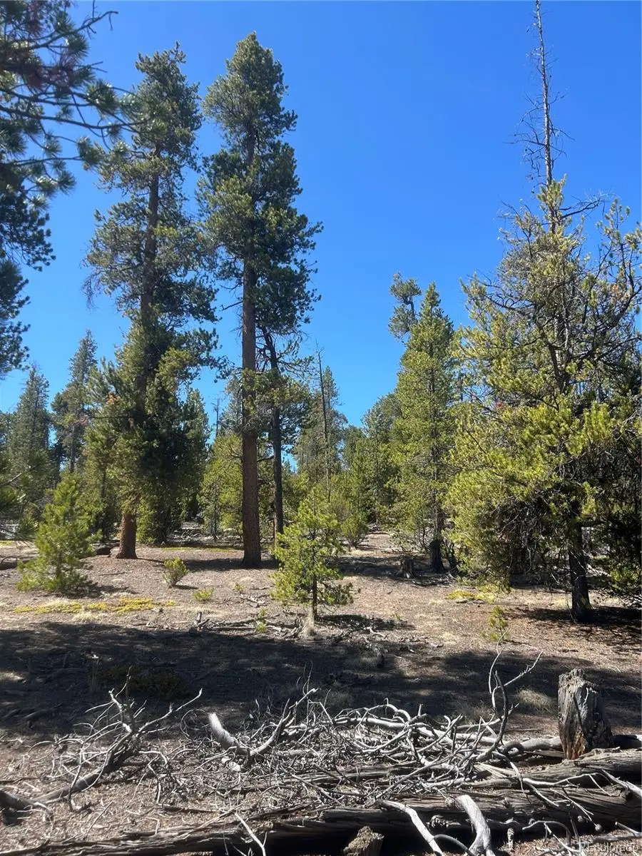 266 Ponderosa Drive, Leadville, CO 80461 - #1