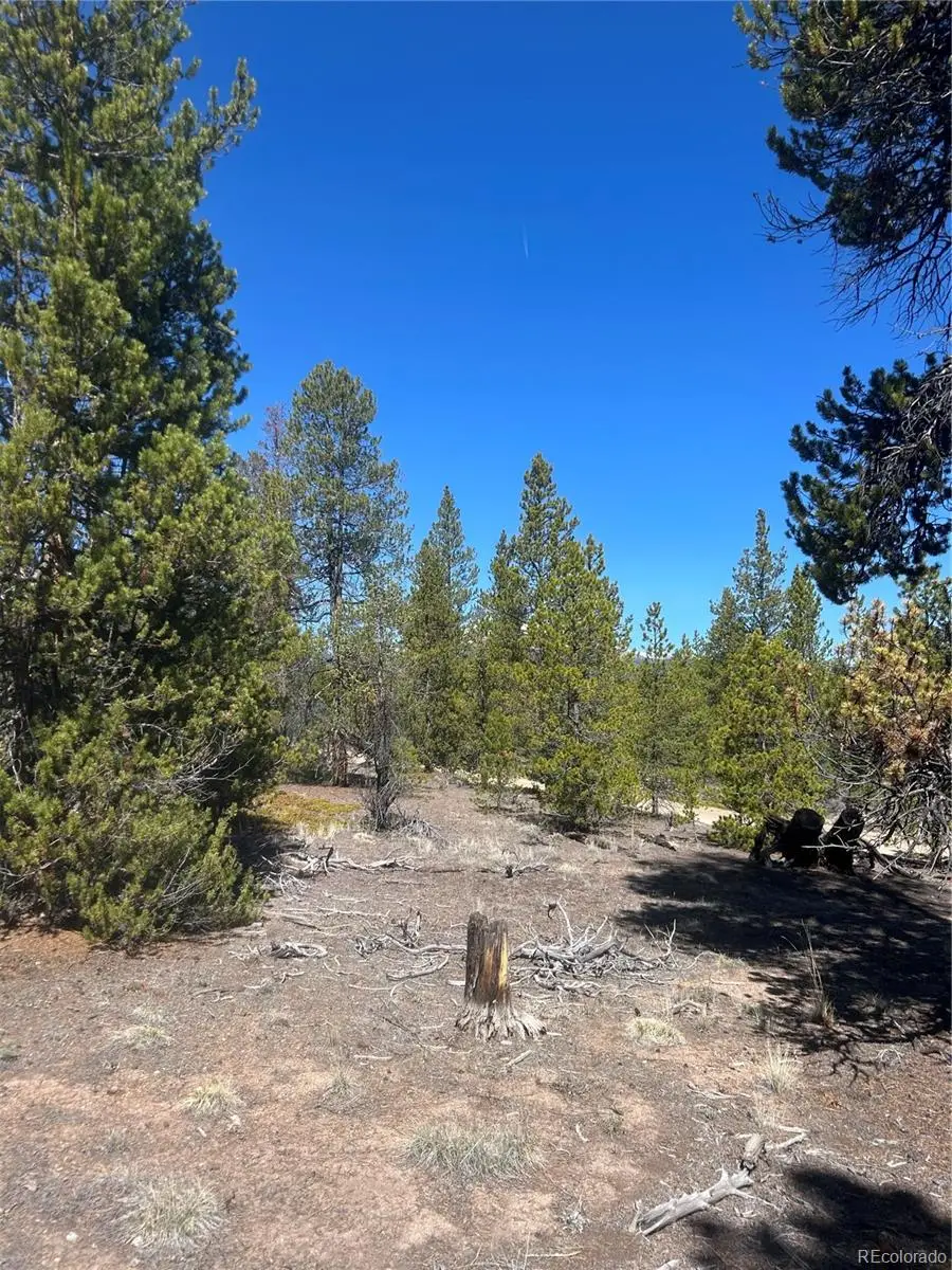 266 Ponderosa Drive, Leadville, CO 80461 - #2