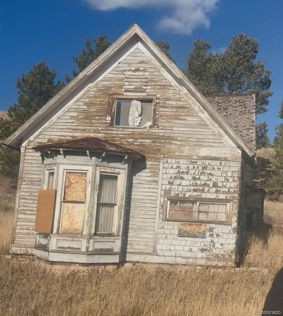 2227 County Road 31, Florissant, CO 80816 - #1