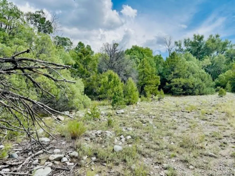 216 Colima Place, Mosca, CO 81146 - #2